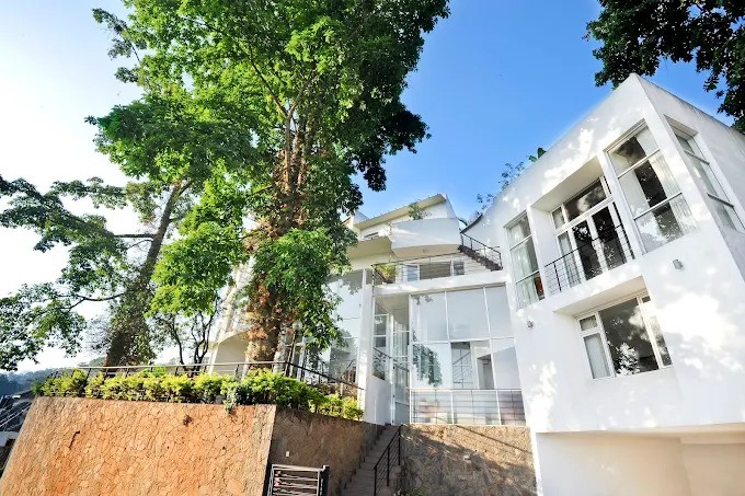 Gallery 1