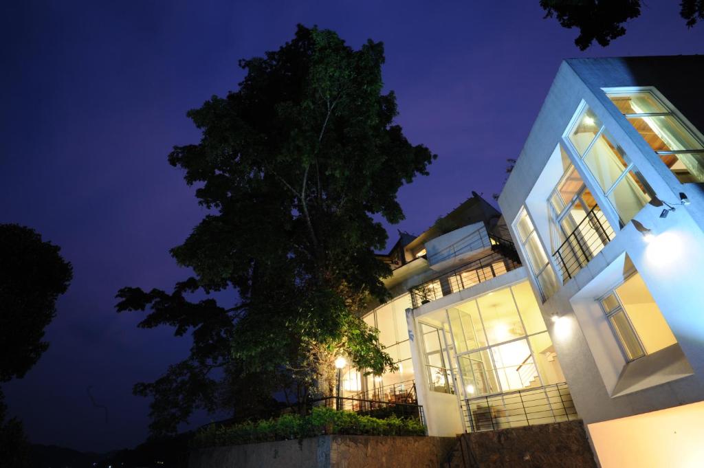 Gallery 25